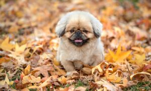 経費精算の申請を取り消す方法は？