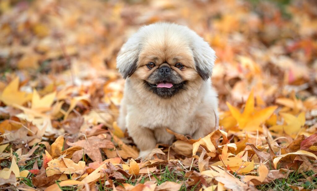 ジョブカンと経費精算の連携はどのように活用できるのか？