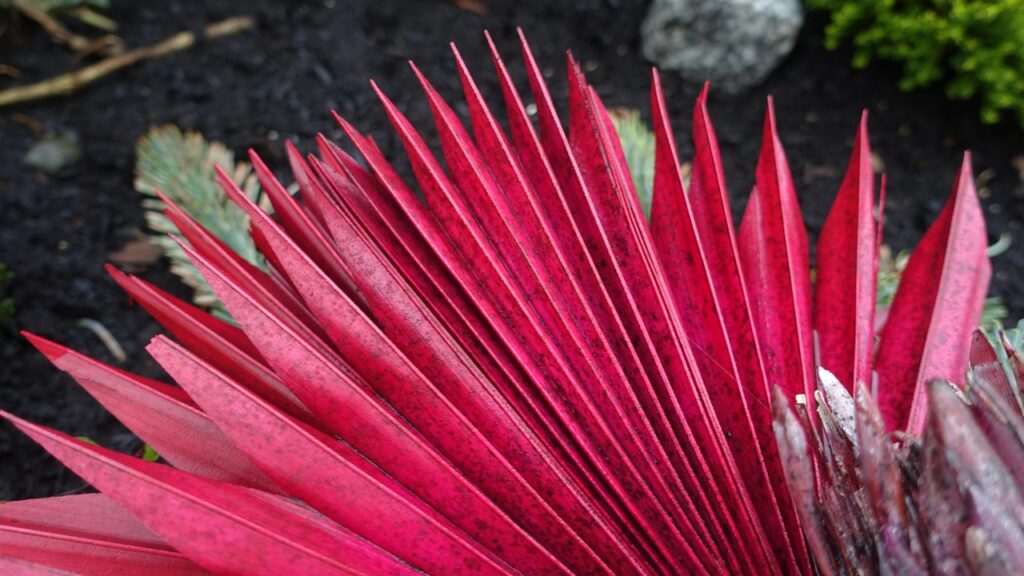 経費の勘定科目はどう選べばいい？