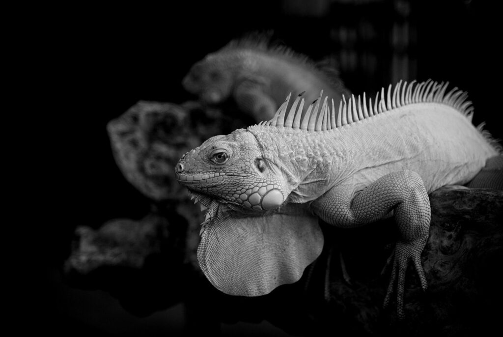 経費の科目を正しく分類するためのポイントは？