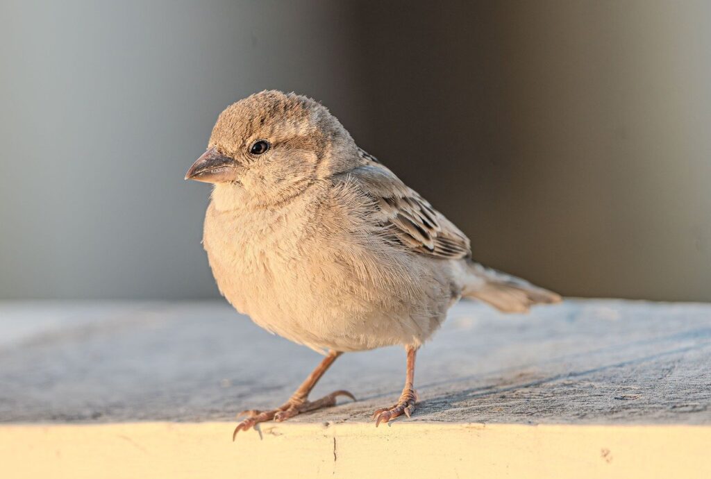 経費精算の請求書作成で気をつけるべきポイントは？