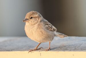 請求書の経費精算はどうやって行うべき？