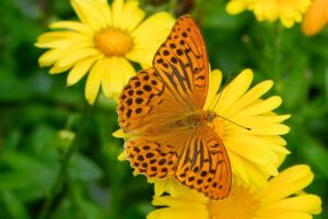 中小企業に最適な経費精算システムのおすすめは？