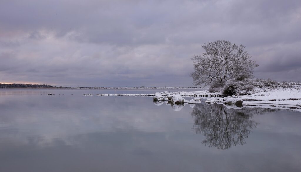 クラウド経費精算システムとはどのようなものですか？