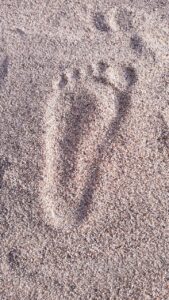 経費精算のコスト削減に成功した事例は？