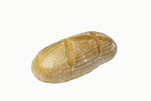 経費精算をExcelで行う際の比較ポイントは？