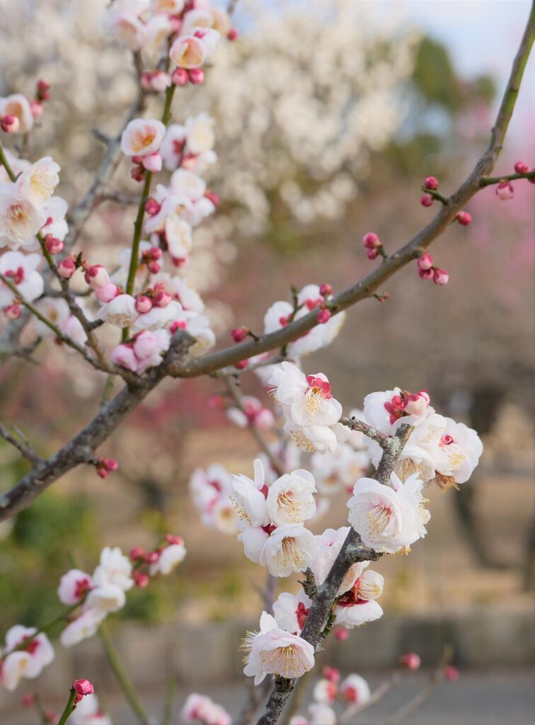 Concurの経費精算に対する評価はどのようなものですか？