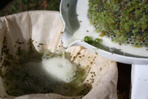 経費精算の負担を減少させるための効果的な方法は？