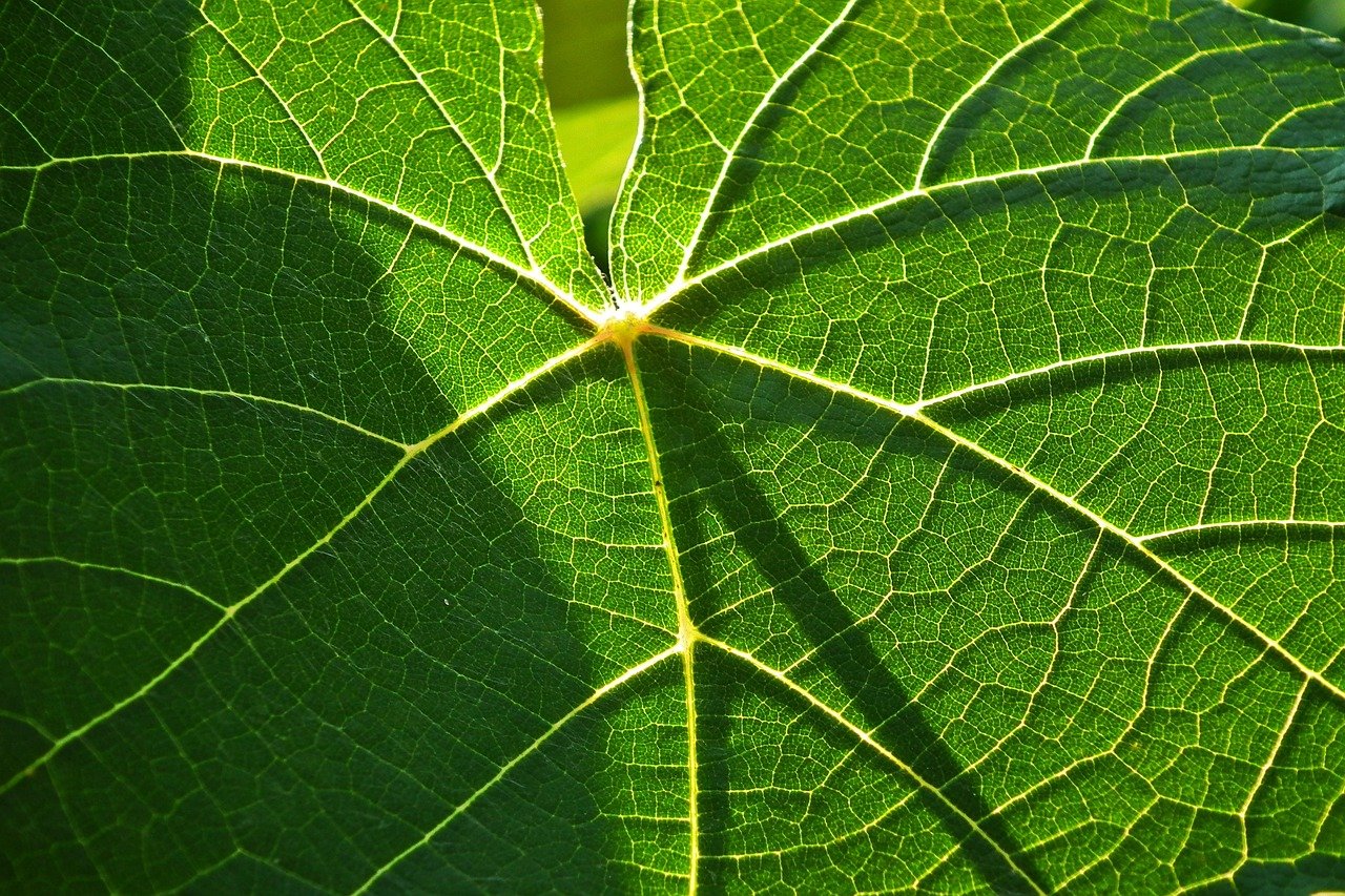 経費精算システムの比較で押さえておくべきポイントは？