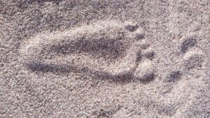 経費精算におけるコスト削減の具体策とは？