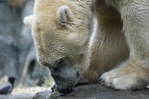 経費精算業務の負担を軽減する方法は？