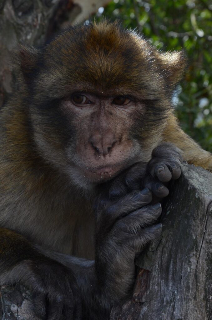 経費精算ゼロ秒を実現するクラウド術、おすすめの経費精算システムは？