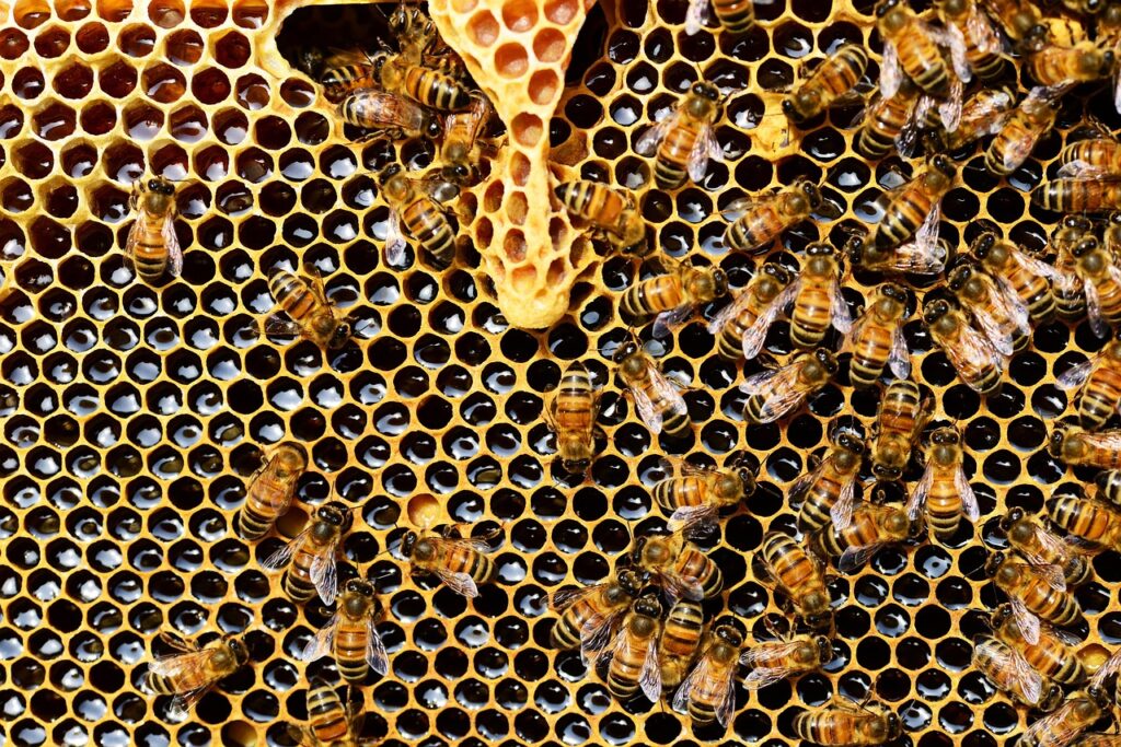経費精算システムはAPI連携できるか？料金はどのくらいか？