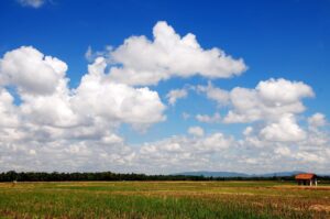 経費精算におけるクラウドとAI OCRの精度比較はどれくらい？