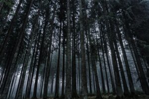 経費精算システムの監査ログや変更履歴は出せるのか？
